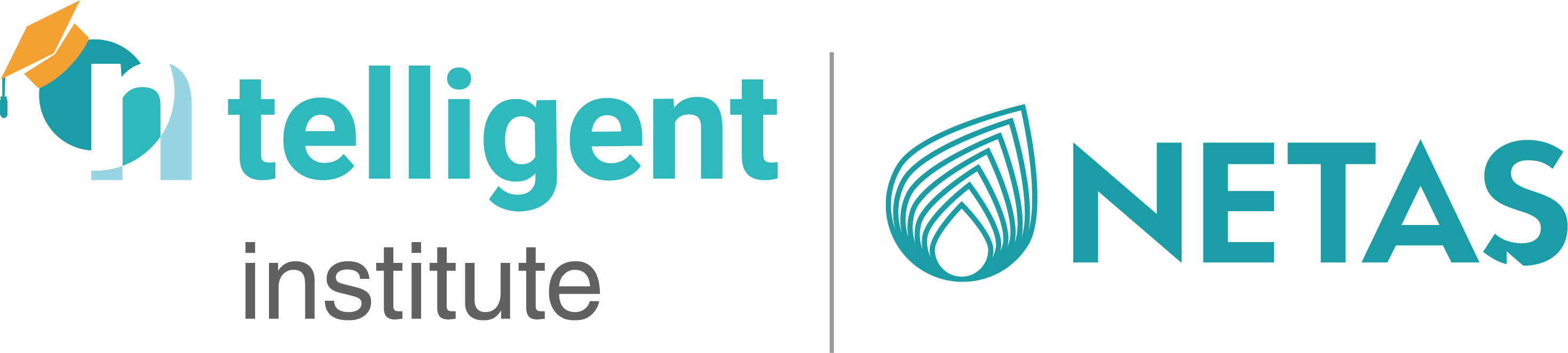 ntelligent institute logo